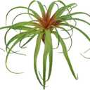 Agusbagli Succulents Plants Artificial, Large Fake Succulents Unpotted Flowers Pineapple Grass Greenery Plants for Home Outdoor Wedding Floral Arrangement Green