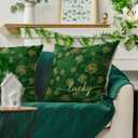 AVOIN colorlife St Patricks Day Lucky Shamrock Throw Pillow Cover, 18 x 18 Inch Clover Golden Shimmer Cushion Case Decoration for Sofa Couch Set of 2