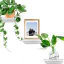 Small Shelves Set of 3 | 6 in x 4 in | Decorative Mini Shelves| Wall Mounted Shelves for Bathroom, Living Room, Kitchen, Bedroom, and Office (White)