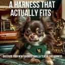 EcoBark Step in Dog Harness - Reflective Soft Luxurious Mesh Dog Harnesses for XXS, XS, Small, and Medium Dogs - Eco-Friendly Comfort Secure Halter No Pull Adjustable Pet Vest (Forest Green, Medium)