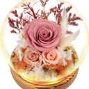 Flowers, Roses, Gift - Fresh Flowers Bouquet & Preserved Flowers Roses for Home Decor - Flowers for Delivery to Show Love - Ideal Flowers Birthday Gift for Women, Unique for Mother's Day & Christmas (Pink)