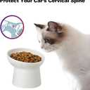 Ceramic Raised Cat Bowls, Elevated Tilted Cat Food and Water Bowls Set, Porcelain Stress Free Pet Feeder Dish for Cats and Small Dogs, Dishwasher and Microwave Safe, Set of 2 (White)
