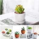 HappyHapi 12 Pcs Artificial Succulents Mini Fake Plants Unpotted Faux Succulent for Craft, Small Plastic Succulents Assortment in Flocked Green Floral Decor for Party, Cake, Garden & Outdoor
