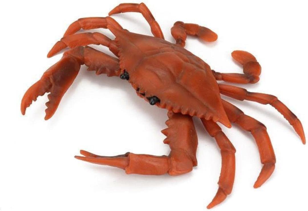 Simulated Marine Life Lobster Crab Model Lobster Large Lobster Gift Male Barracudacrab(red)