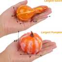 winemana Thanksgiving Fall Decorations for Home-6pcs Mini Pumpkins & 2pcs Gourds, 30pcs Leaves & 10pcs Acorns, 2pcs Pinecones Centerpiece Set-Harvest Decor for Table Mantel (Largest: 4.5" x 2.1")