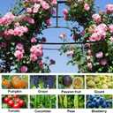AlisisFores Garden Arch Trellis for Climbing Plants Outdoor 7.2 ft Height Large Tunnel Trellis Support for Vegetables Plant Cucumber Trellis for Garden Raised Bed, Black, 70.8 inches x 86.6 inches