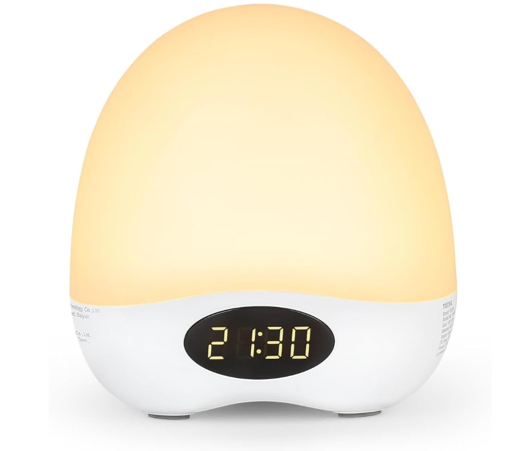 Egg Night Light for Kids,Rechargeable Bedside Lamp Remote & Touch Control Portable Nursery Night Light with 16 Colors Changing Mode for Baby Kids Nursery Bedroom Camping, Easter Christmas Themed Gifts