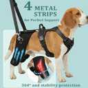 Dog Hip Support Brace-Adjustable Dog Leg Brace for Back Leg with Lift Strap for Hip Dysplasia Arthritis Pain Relief, Dog Hip Dysplasia Brace for Medium Large Senior Dogs(XXL)