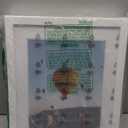 4 Pack Sports Magazine Frame Display 8.5 x 11.25 or 8.25 x 11 Magazine with 2 Sizes Mat, or 11x14 Photos without Mat, Magazine Display Frame with Shatter Resistant Plexiglass for Wall Hanging, White