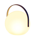 Globe Outdoor/Indoor Lantern Remote control Rechargeable