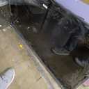 Pallet of Damaged TV's (6 Count)