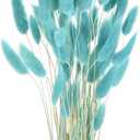 MECCANIXITY 60pcs Natural Rabbit Bunny Tails Dried Flowers 17" Mini Pampas Grass Lagurus Ovatus Bunch for Floral Wedding Decor Christmas, Light Blue