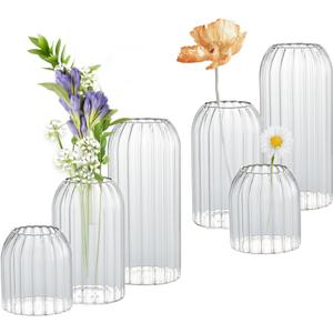 Bud Vases in Bulk Set of 6, Glass Small Vases for Flowers, Modern Cylinder Ribbed Vases for Wedding Centerpiece, Living Room Decorative, Home Decor