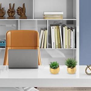 Small Artificial Succulents in Pots Set of 2 Realistic Faux Succulents Plants with Gold Ceramic Pots Cute Mini Fake Plants Decor for Modern Home Table Office Desk Bathroom Shelf Decoration