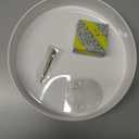 Japanese Ikebana Kit Floral Frog Flower Container with 1Pcs 9inch Plastic Bowl Vase Pot, 1Pcs 1.57inch Kenzan, 1Pcs 2.76inch Plastic Kenzan, 1Pcs 2 in 1 Kenzan Tool-Clean and Straighten Pin (Set B)