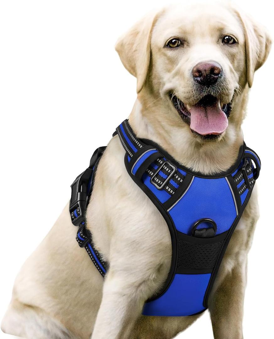 Rabbitgoo Dog Harness No Pull with 2 Leash Clips, Adjustable Soft Padded, Reflective Oxford No Choke Pet Vest with Easy Control Handle for Large Dogs, Dazzling Blue, L