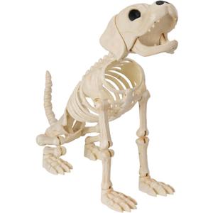 JOYIN Halloween Golden Retriever Skeleton 34” Animal Dog Plastic Skeleton with Movable Posable Joints for Haunted Houses Halloween Decorations, Graveyard Scenes, Outdoor Indoor Garden Party Decor