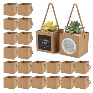 Succulent Wrap Bags