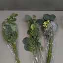 3 Small Mixed Bouquet Eucalyptus Leaves for Wedding Vase Bouquet Floral Arrangement (Green)