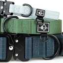 Made to ROAM Premium Dog Collar - Adjustable Heavy Duty Nylon Collar with Quick-Release Metal Buckle (Alaska Daybreak, Classic Size 1)