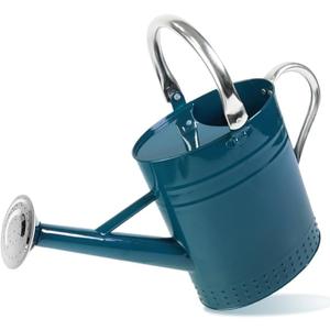 Megawodar 1 Gallon Metal Watering Can with Removable Spout, Nice Galvanized Steel Water Can with Embossed Design for Indoor and Outdoor Plants (Ocean Blue)