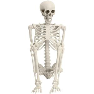 5.4Ft Posable Skeleton Halloween Decorations Outdoor, Plastic Life Size Skeleton with Movable Joints for Graveyard Prop, Halloween Toys Indoor Outdoor Haunted House Party Decor, White 