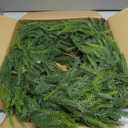 9ft Artificial Norfolk Pine Garlands, Real Touch Winter Pine Garland, Green Artificial Greenery Garland, Winter Decorations for Home for Table, Mantle, Wall