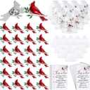 Jexine 240 Pcs Cardinal Pin Sets Include 80 Red Cardinal Brooch Pins, 80 Memorial Cards, 80 Organza Gift Bags Those We Love Do Not Go Away Poem Cards Funeral Gifts for Guests(Classic)