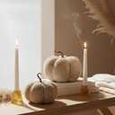 LampLust Plush Pumpkin Decor, Pack of 2, Sand Faux Pumpkins for Table Centerpiece, Neutral Rustic Farmhouse Spring Decor for Shelves, Mantels, Counter and Elegant Home Accent