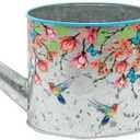 Hummingbird Flowers Multicolored 4.5 x 5 Metal Watering Can Planter