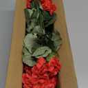 Artificial Geraniums Fake Flowers for Outdoors Decoration, 6 Bundles Silk Geraniums Red Flower UV Resistant Look Real Faux Plants for Front Door Garden Porch Planter Patio Balcony Yard Indoor Home