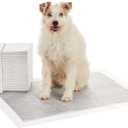 Amazon Basics Carbon Odor Control Dog and Puppy Pee Pads, 5-Layer Leak-Proof Super Absorbent, Quick-Dry Surface for Potty Training and Housebreaking, X-Large Size 28"x34", Gray, 50 Count