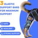 RUXAN Dog Knee Brace for Torn Acl, Dog Leg Braces for Back Leg, Knee Brace for Arthritis Pain and Support, Dogs Rear Leg Wrap Harness Set for Leg Wound Care and Lick Prevention-L