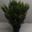 Nearly Natural 2ft. Cedar Artificial Bush (Indoor/Outdoor)
