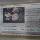 MFWFM Dark Floral Wallpaper Peony Wall Mural Room Wall Decor(Not Peel n' Stick) 141" x 96"