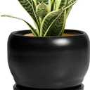 SQOWL Ceramic Plant Pot - 6 Inch Planter for Indoor Plants, Round Flower Pot with Drainage Hole and Saucer, Modern Succulent Planter Outdoor, House Decor, Plant Lovers Gifts, Black
