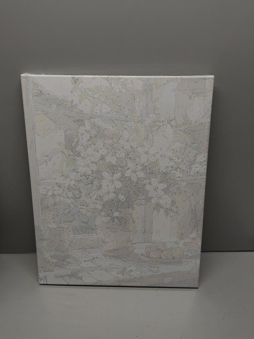 Paint by Numbers Kit for Adults Kids, Procicia DIY Canvas Painting Kit with Paintbrushes,16 x 20 inch DIY Acrylic Painting Without Frame