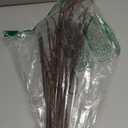 Birchlitland Lighted Brown Branches 32IN 100 LED with Timer Battery Operated, Artificial Tree Branch with Warm,Willow Branch Lights for Home Bedroom Fireplace Christmas Holiday Decoration