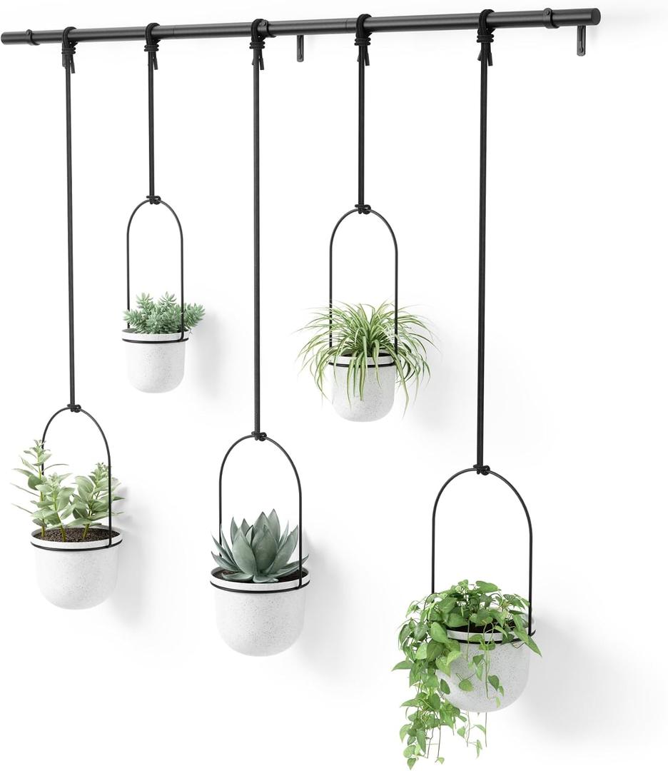 Umbra Triflora Hanging Planter for Window, Indoor Herb Garden, Set of 5, White/Black