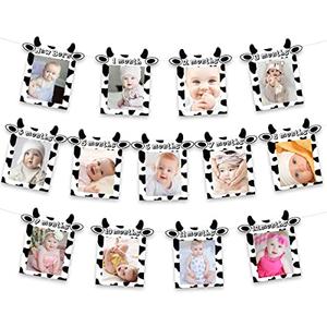 JOYMEMO 13PCs Cow 12 Month Photo Banner - 1st Birthday Baby Banner for Newborn to 12 Months, Cow Print Party Decorations, Farm Barnyard Cowboy Cowgirl First Birthday Party Supplies