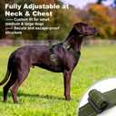 No Pull Dog Harness with Handle, Soft Mesh Padded Adjustable for Small Medium Large Dogs | Reflective Easy Walk Harness with Front Clip for Training, Running & Outdoor (Ranger Green, M)