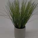 14-Inch Fake Grass Plant in Ceramic Pot Artificial Potted Plants 