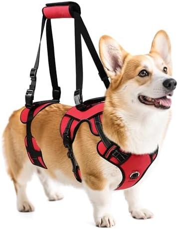 NOYAL Dog Lift Harness for Senior & Injured Pets – Full-Body Support Sling with Breathable Mesh, Front/Rear Leg Assist for Arthritis, Hip Dysplasia & Post-Surgery Recovery (Medium-Large Breeds)