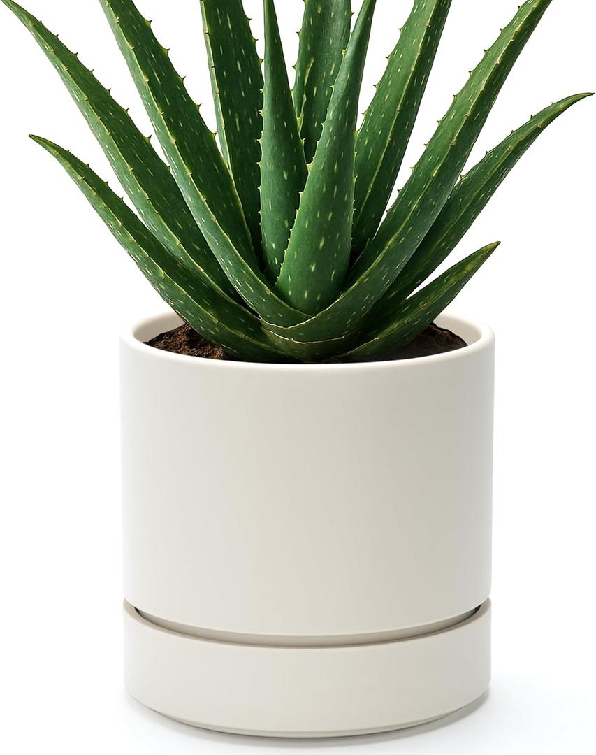 Phoenix Vine 6 Inch Planter Pot with Drainage Hole & Saucer, Deep Water Catch Tray, Straight Cylindrical Round Pot for Plants, Oatmeal, Pack of 1, 23-E-S-1