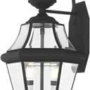 Livex Lighting 2261-02 Outdoor Wall Lantern, Polished Brass, 10.5"W x 20.75"H