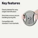 Amazon Basics 1-Inch Grip Weight Plates, 25 lb, Strength Training, Home Gym, 1 Pack