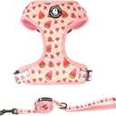 Coowone Dog Harness and Leash Set, Adjustable Puppy Harness and Soft Padded Dog Vest Harness for Small Medium Large Dogs (S (Neck 10.6"-13"; Chest 14"-19.6"), watermelon)