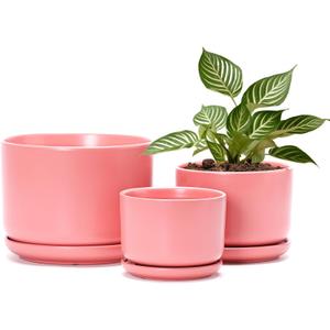 Ton Sin Ceramic Plant Pot with Drainage Hole and Saucer for Indoor Plants, Decorative Round Flower Pot for House Plants, Succulent Orchid Planter(Matte Orange)