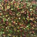 2 x EDIBLE GLITTER - CHRISTMAS EVE STARS Color, 10.5 grms. for cakes, stars, for cupcakes, for cookies By Oh! Sweet Art