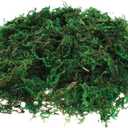 2 x DECHOUS Fake Moss: Artificial Preserved Moss for Plants Bonsai Crafts Fausse Mousse for Terrarium Plant Pot (About 20G)